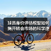球员身价评估模型如何揭开转会市场的科学逻辑？（图3）