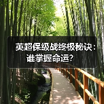 英超保级战终极秘诀:谁掌握命运?(图2) 英超保级战终极秘诀:谁掌握命运?(图2)