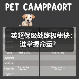 英超保级战终极秘诀:谁掌握命运?(图3) 英超保级战终极秘诀:谁掌握命运?(图3)