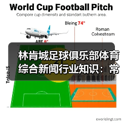 林肯城足球俱乐部体育综合新闻行业知识：常见场景与选择要点（图3）
