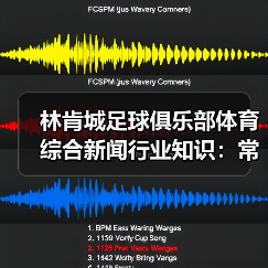 林肯城足球俱乐部体育综合新闻行业知识：常见场景与选择要点（图4）